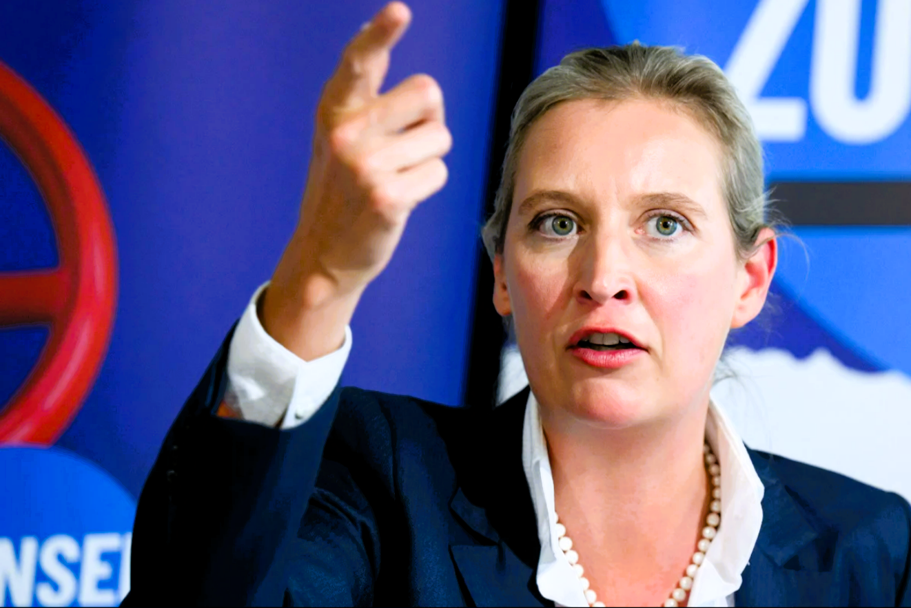 Wieder Eklat um AfD-Politiker - Geldwäsche! Staatsanwaltschaft ermittelt in neuem Skandal